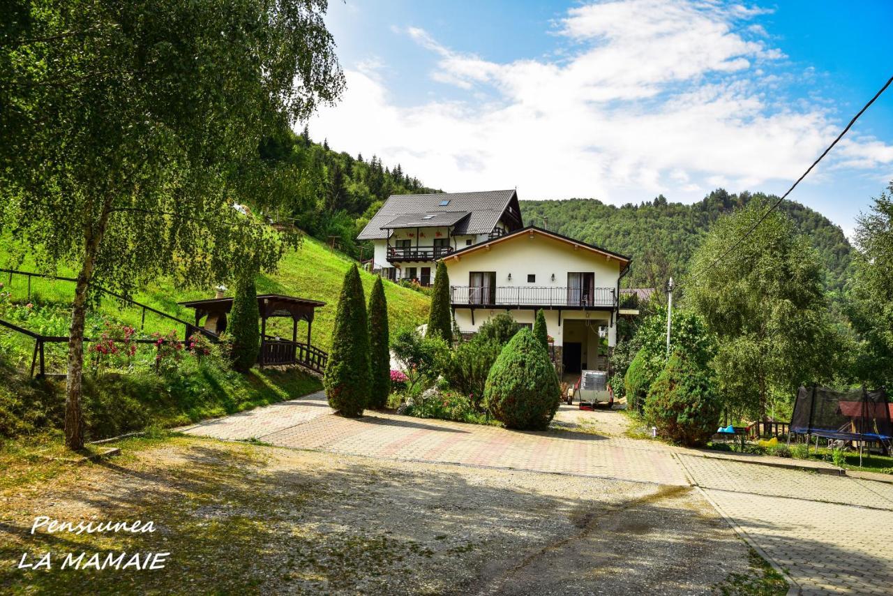 Pensiunea La Mamaie Cheia  Bagian luar foto