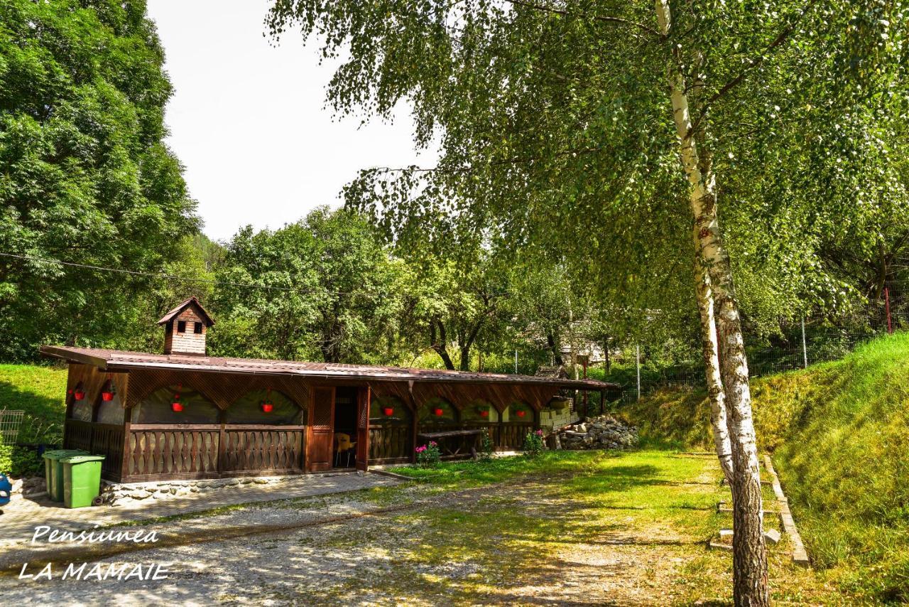 Pensiunea La Mamaie Cheia  Bagian luar foto